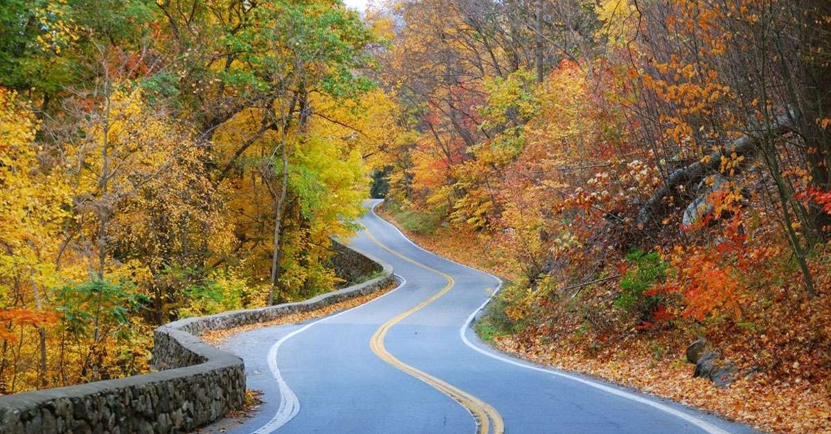 route automne