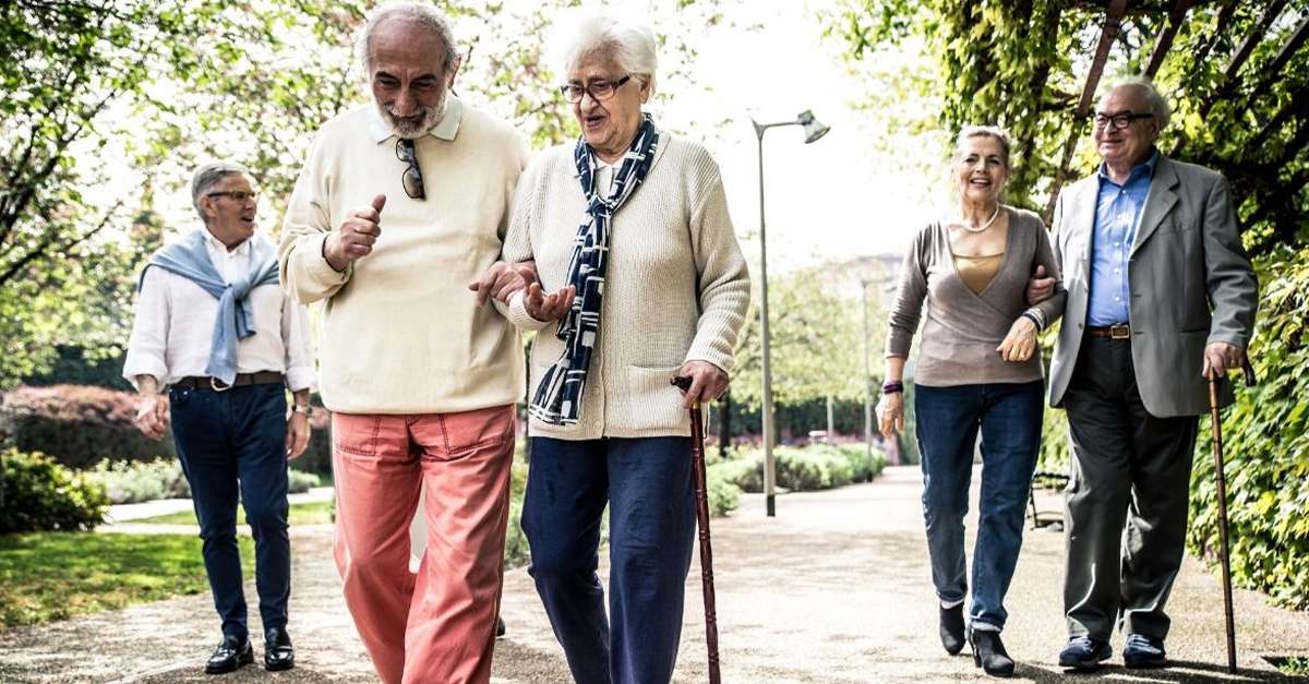 Couples seniors qui se baladent sur un petit chemin