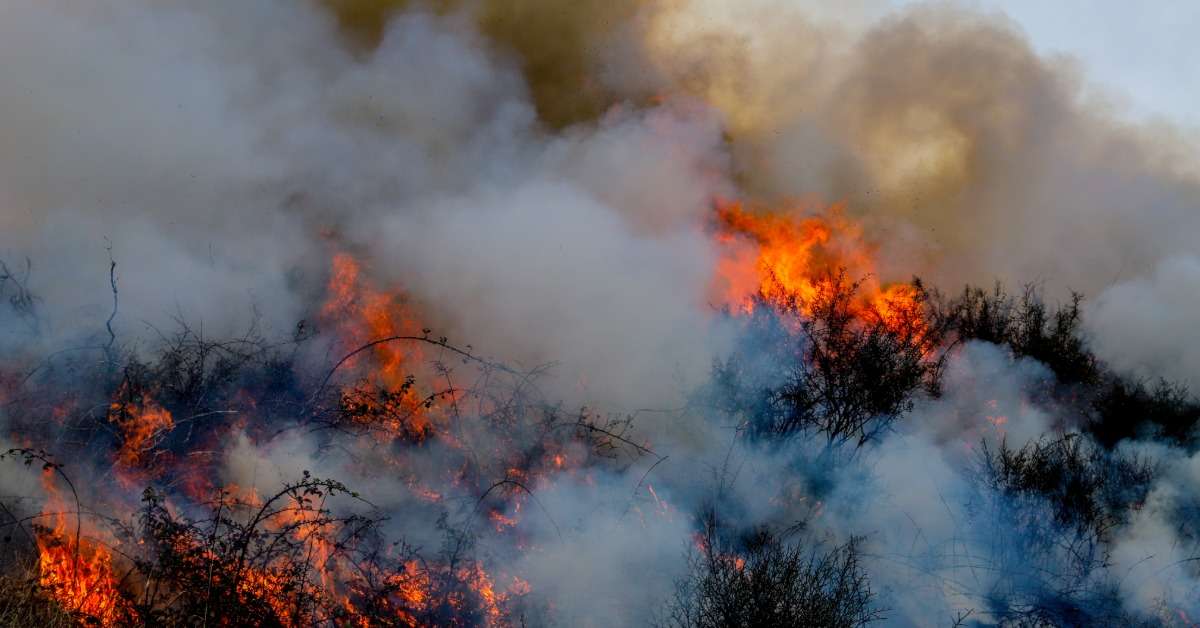 brulage dirigé en cours dans le parc national des Préalpes d'azur