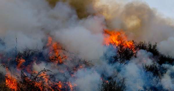 brulage dirigé en cours dans le parc national des Préalpes d'azur