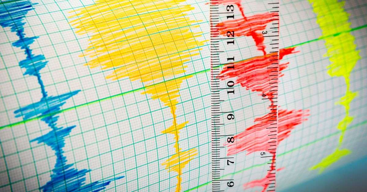 sismographe en couleurs vives