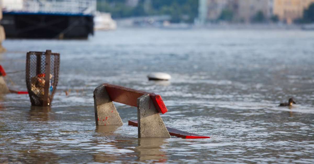 Jardin public inondé