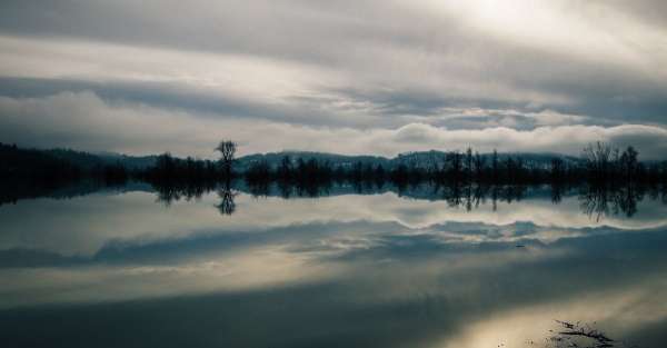 Des solutions fondées sur la nature pour éviter les inondations