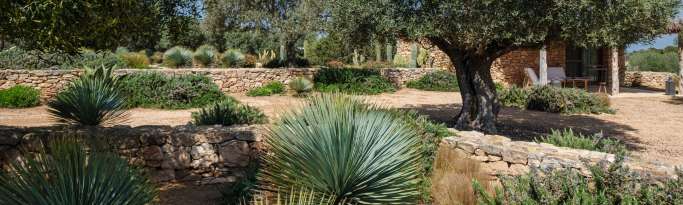maison au milieu d'un forêt qui a besoin d'un débroussaillement pour réduire le risque d'incendie