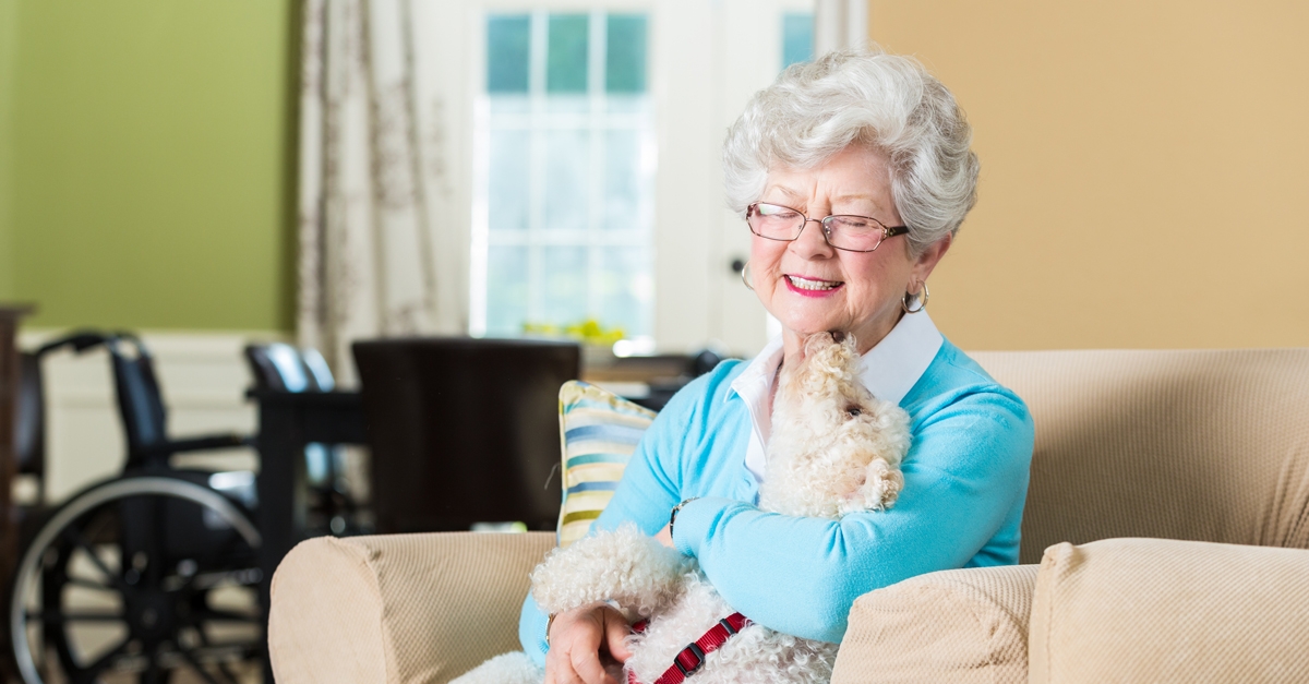 une femme senior assise sur un canapé avec un petit chien avec un fauteil roulant en arrière-plan